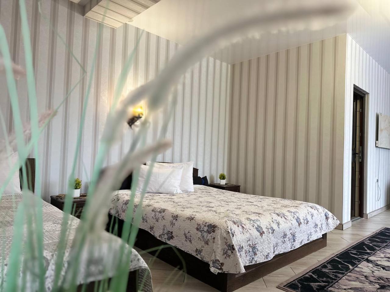 Illara Spa Hotel Irshava מראה חיצוני תמונה